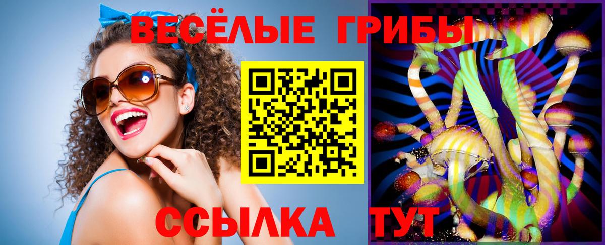 Галлюциногенные грибы прущие грибы  Вход с VPN  Коряжма 